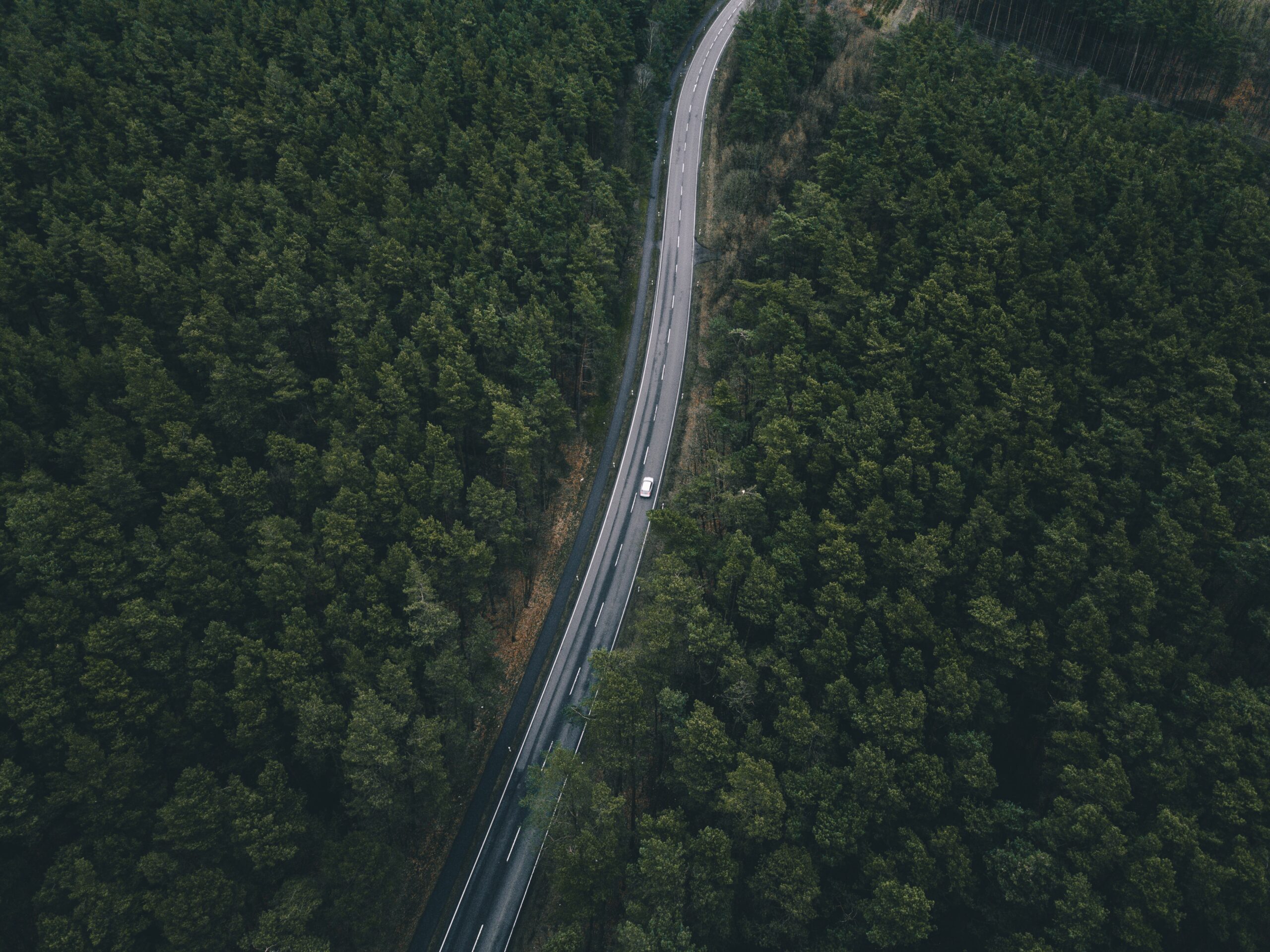 Automobilis važiuoja autostradoje per mišką