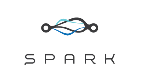 Paslaugą SPARK teikiančios įmonės UAB „Ride Share” komanda