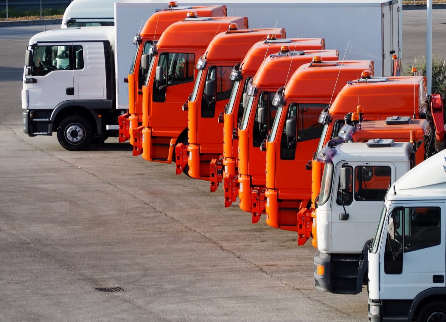 Kelias į tikslumą: LINQO GPS stebėjimas „Be Fresh Logistic“ veikloje